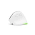 Bluestork Vezeték nélküli Egér - M-WL-ERGO-LUMI-W (Ergonomic, Rechargeable, 2400 DPI, 6 gomb, optikai, fehér)