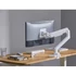 Equip Monitor Asztali konzol - 650181 (17"-49", 1 monitor, dönthető, forgatható, Max.: 20kg, fehér)