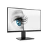MSI Monitor Business PRO MP2412 23,8" FHD, 1920x1080, IPS, 100Hz, 4000:1 CR, 300cd/m2, 1ms, HDMI,  DP, Black