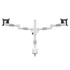 MULTIBRACKETS Asztali konzol (2 képernyős), M VESA Deskmount Officeline Dual White (15-30", max.VESA: 100x100 mm, 8 kg)