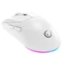 Rampage Vezeték Nélküli Egér - PROTE M5 (Pixart PAW3311, Huano 80M, 24000 DPI, 400mAh, 6 gomb, RGB, Type-C, fehér)
