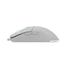 WHITE SHARK BAGDEMAGUS-W, GM-5010W gamer egér, 6D, fehér, 7200 dpi, RGB